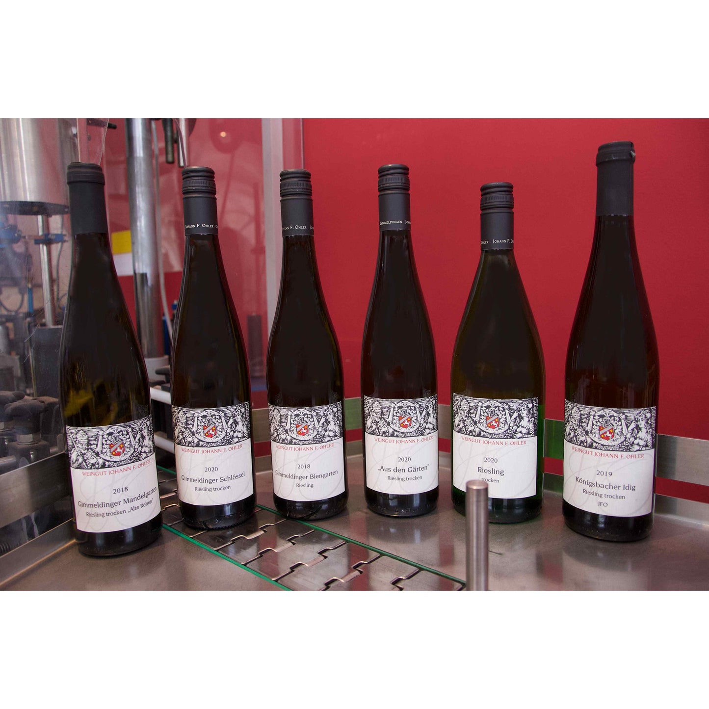 RIESLING-PAKET 6 FLASCHEN